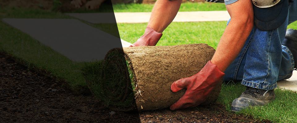 Armonk Landscapers